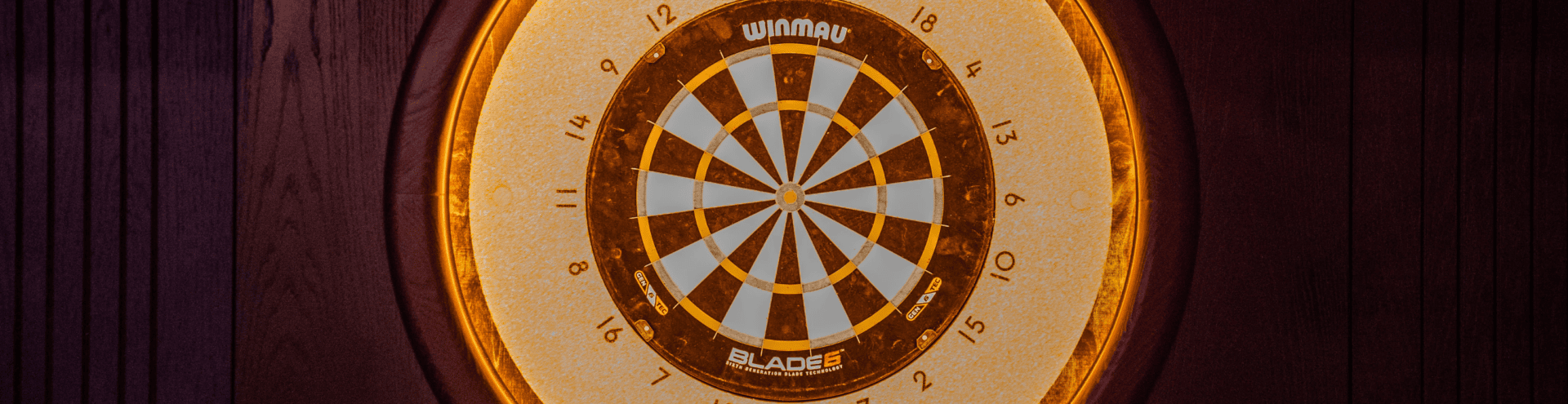 cible cibles fléchette fléchettes darts target